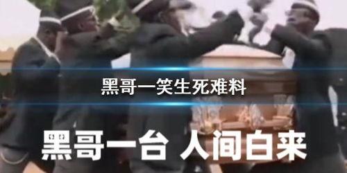 黑哥吃瓜群号,一场网络狂欢的幕后故事