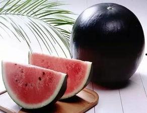 孕晚可以吃哈黑瓜,哈密瓜的甜蜜滋养