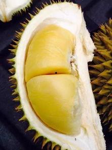 黑瓜怎么快剥壳吃呢,黑瓜快速剥壳食用技巧揭秘