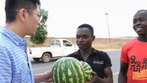 黑人吃的黑瓜是什么,黑瓜的独特风味