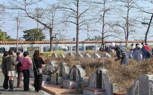 吃瓜黑科技什么意思,网络时代下的信息传播新趋势