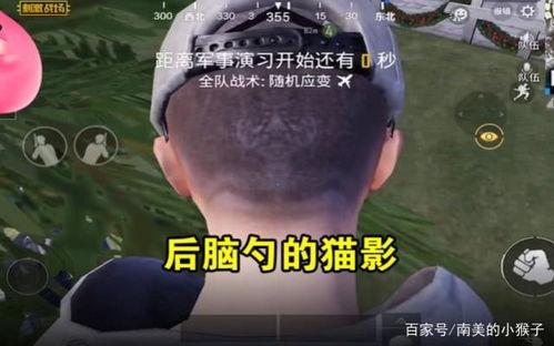 带你吃瓜奇葩武器黑科技,带你领略吃瓜界的奇葩武器与黑科技