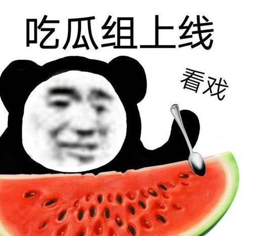 网爆门吃瓜黑料,揭秘娱乐圈黑料背后的真相