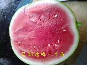 吃瓜就吃带黑纹的,揭秘黑纹瓜的独特风味