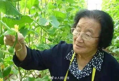 黑瓜吃料网搜不到,揭秘神秘信息源